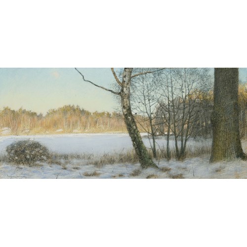 Winter Landscape